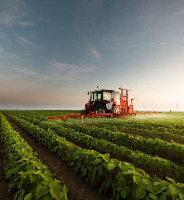 Agro Industrial Coffee Production