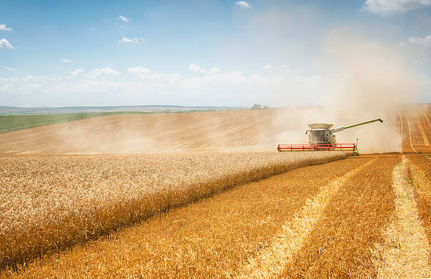 Birra Group Expands Investment in Agro-Industrial Development - Image 2