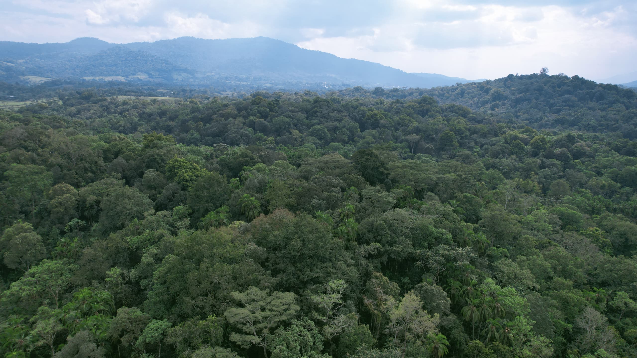 Birra Coffee Expands Partnerships with Ethiopian Coffee Farmers - Image 2